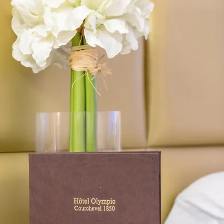 酒店 节日夫人 - 库尔舍瓦勒奥林匹克酒店